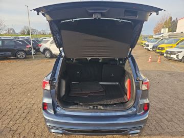 Bild 8 Ford Kuga ST-Line Navi Digitales Cockpit LED Mehrzone