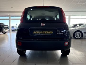 Bild 4 Fiat Panda Icon Hybrid Digitales Cockpit DAB Spurhalt