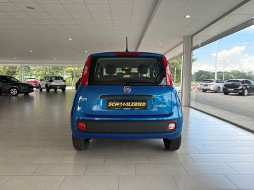 Bild 4 Fiat Panda Base DAB Spurhalteass. Verkehrszeichenerk.