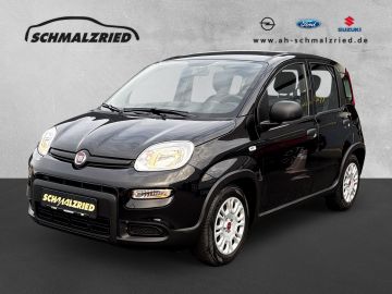 Fotografie Fiat Panda Base 1.0 Mild Hybrid DAB Klima Freisprech