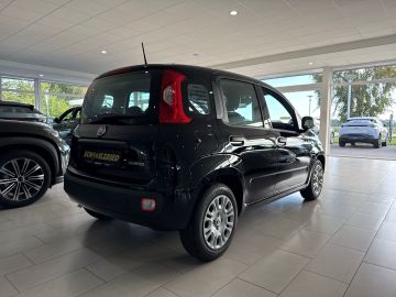 Bild 5 Fiat Panda Icon Hybrid Digitales Cockpit DAB Spurhalt